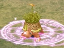 Ancient Sandy Tortoise