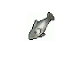 Sashimi